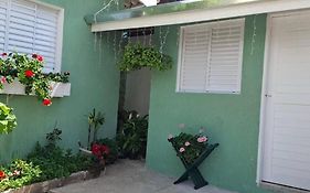 Green Suite
